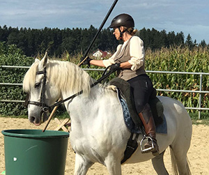 Reitunterricht für Erwachsene